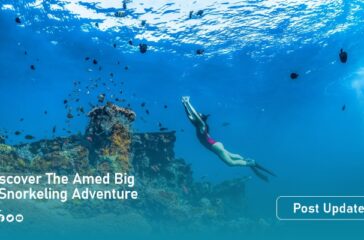 amad reef artikel2