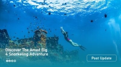 amad reef artikel2