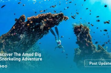 amad reef artikel3