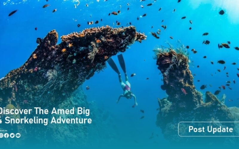 amad reef artikel3