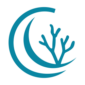 amad reef fav