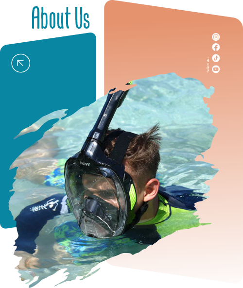 amad reef profile