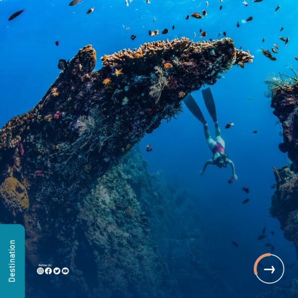 Japanese Shipwreck