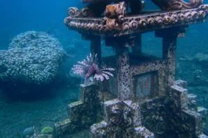 amed snorkling (5)