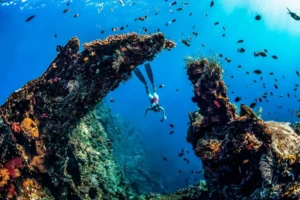 amed snorkling (7)